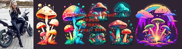 MDMA Кодинск