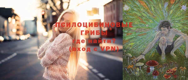а пвп мука Козловка